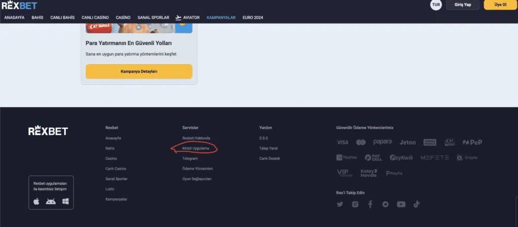 rexbet mobil giriş